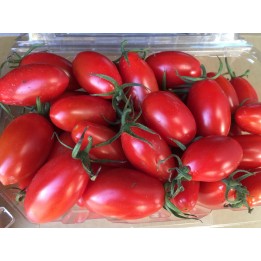 嚴選雲農溫室玉女小番茄-1斤裝
