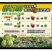珍珠芭樂禮盒-8入裝 珍珠芭樂禮盒-8入裝