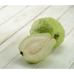 珍珠芭樂-10斤裝 珍珠芭樂-10斤裝