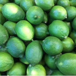四季檸檬-嚴選屏農-10斤組--含運價