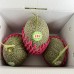 洋香瓜禮盒-卡蜜拉哈密瓜-ˊ6斤裝-含運價
