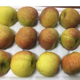 梨山蜜蘋果禮盒-15粒装-小果-含運價