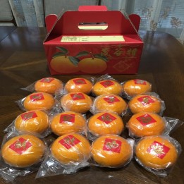 茂谷柑禮盒10斤裝-貼紅標-含運價