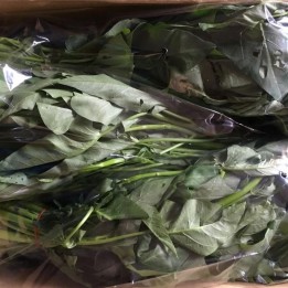 金鐘空心菜-300g/包