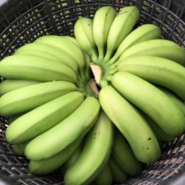 香蕉--1皮